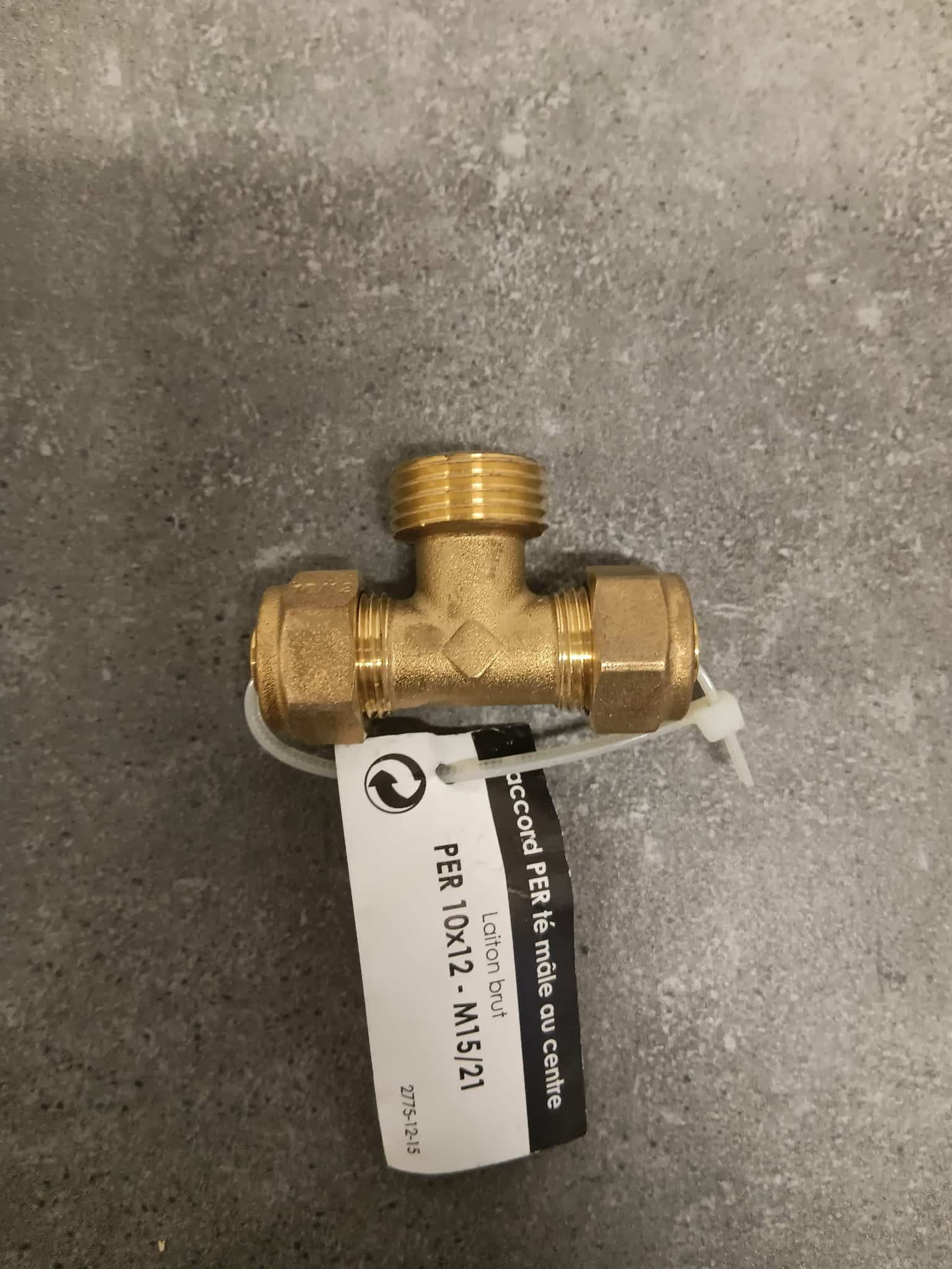 Te mâle 15/21   PER 10x12