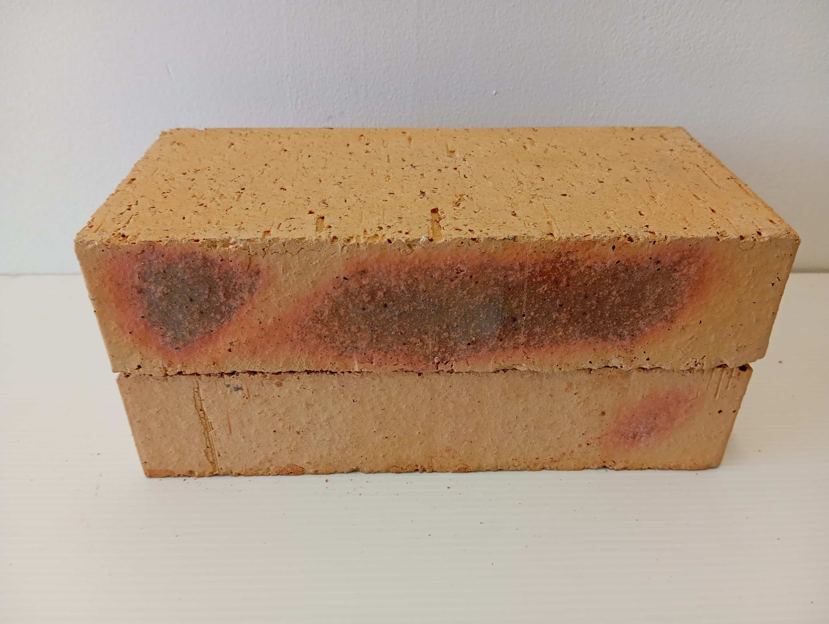 BRIQUE LEOPARD PLEINE 5.4X10.5X22 JASMIN