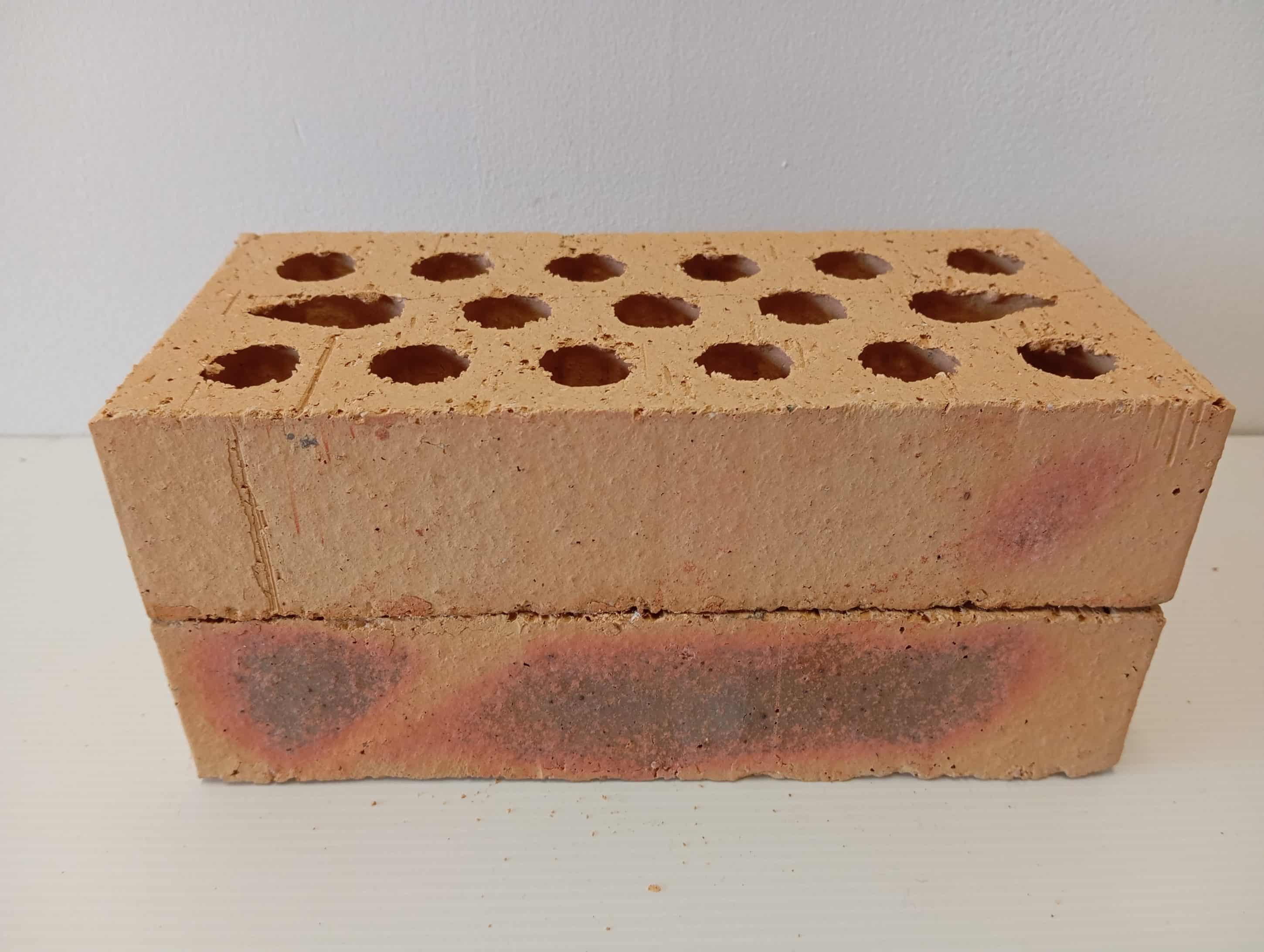 BRIQUE LEOPARD PERFOREE 5.4X10.5X22 JASMIN