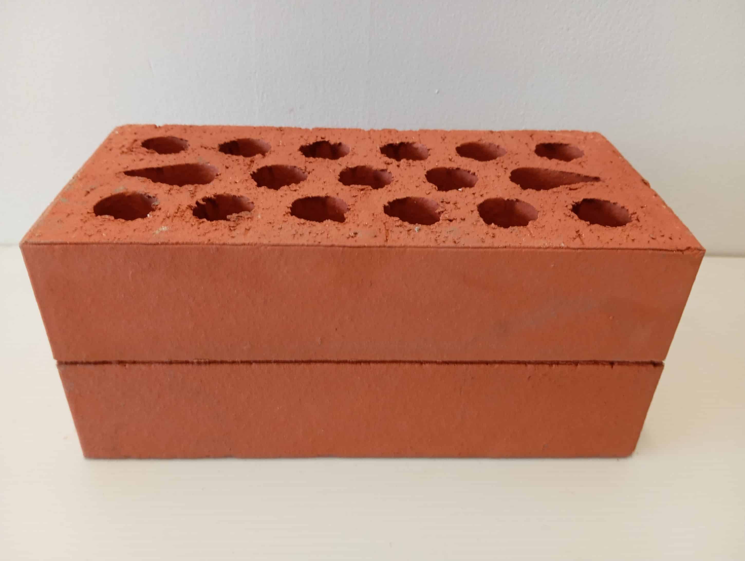 BRIQUE ROUGE PERFOREE 5.4X10.5X22