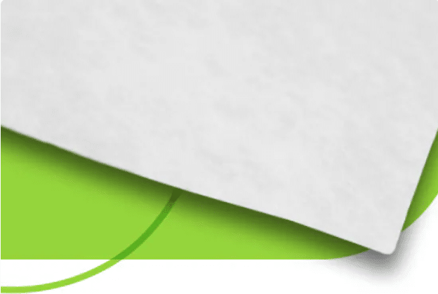 FEUTRE BIOGEO GEOTEXTILE 2,20MX25M anti végétation