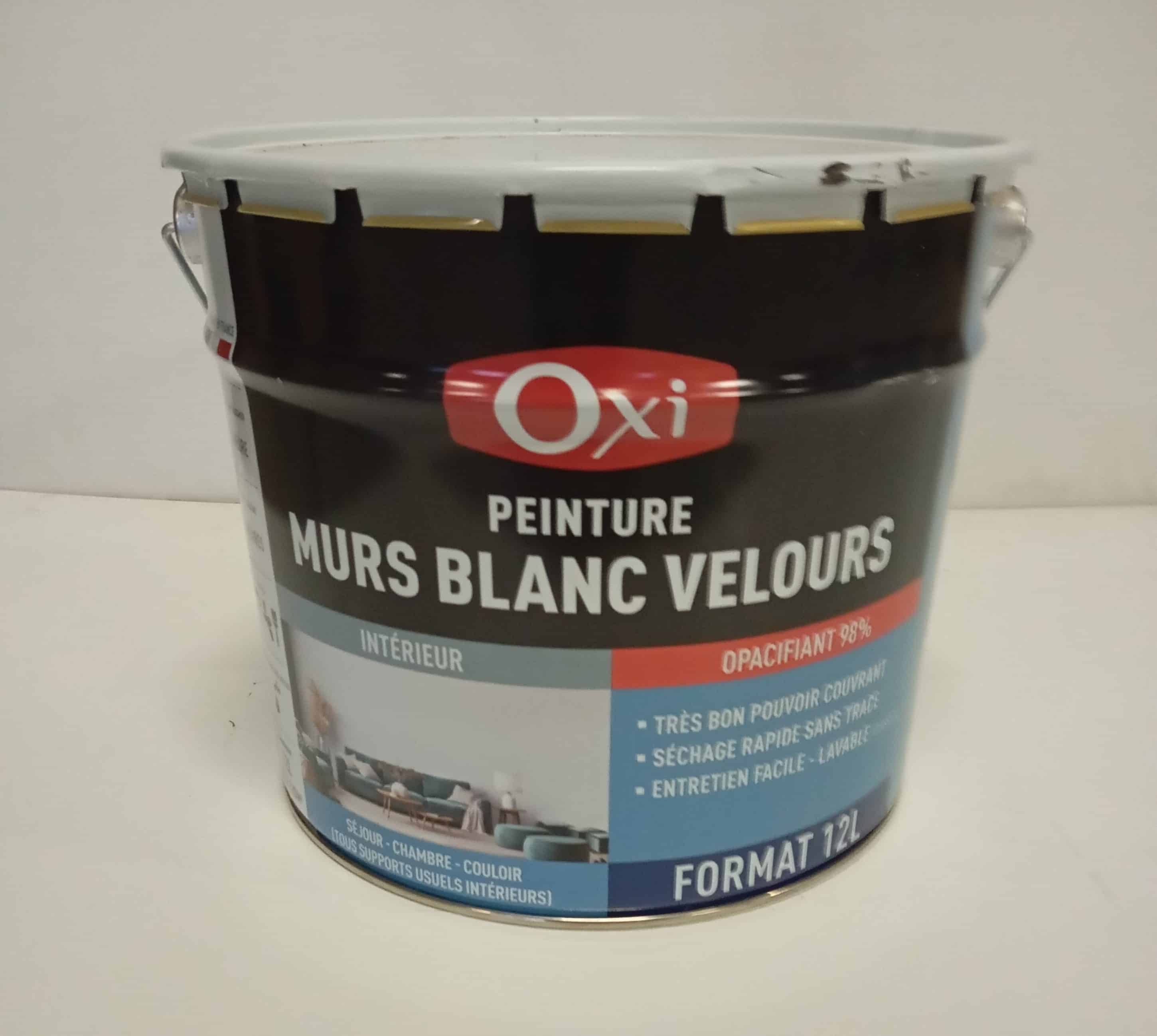 PEINTURE MURS ET PLAFONDS VELOURS 12L