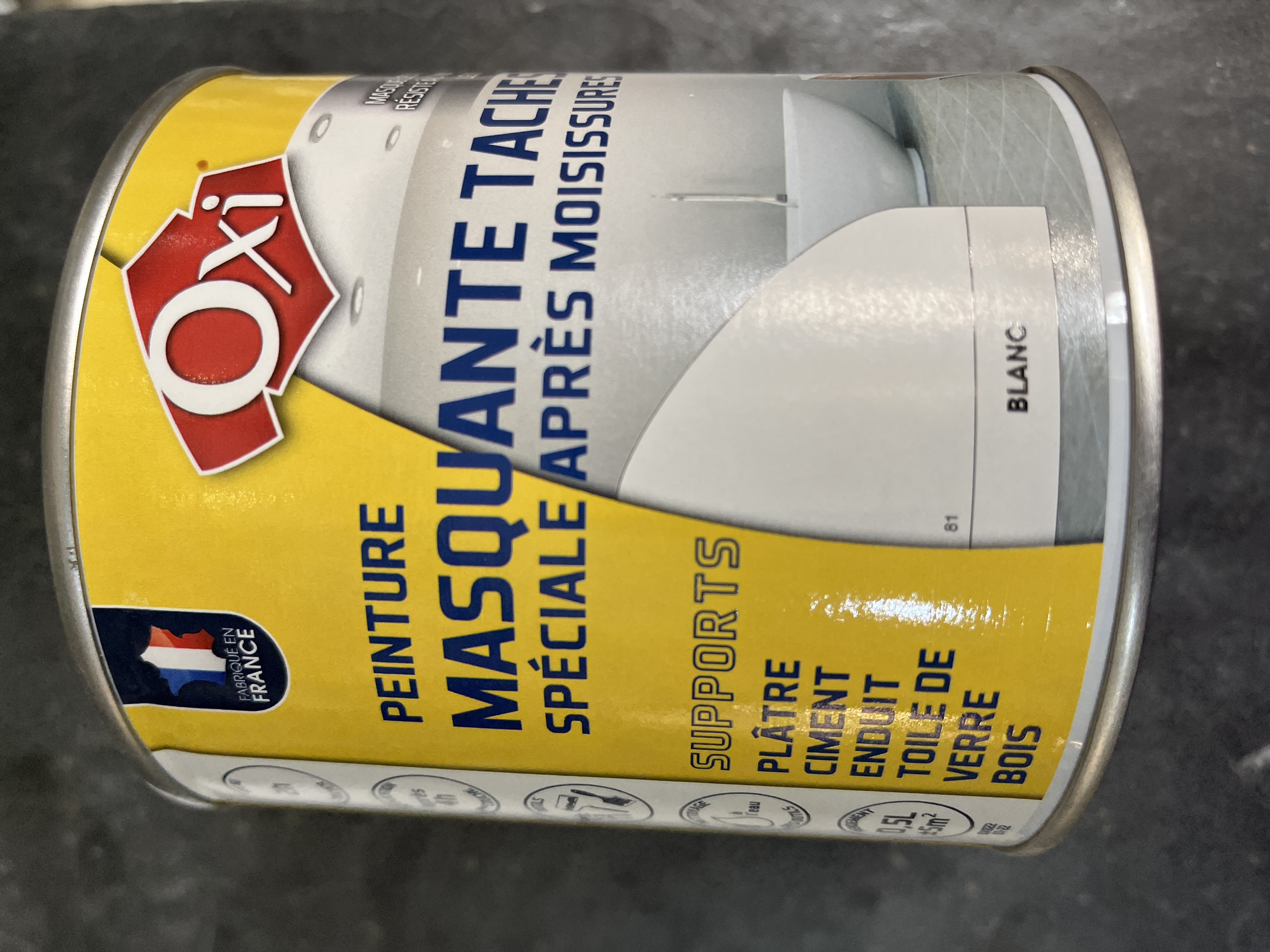 PEINTURE ANTI-MOISISSURES 0.5L