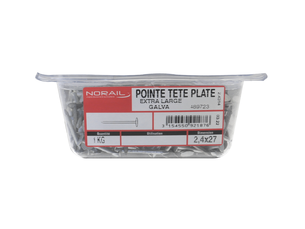 POINTE GALVA TETE LARGE 2.5X28 BQ1KG