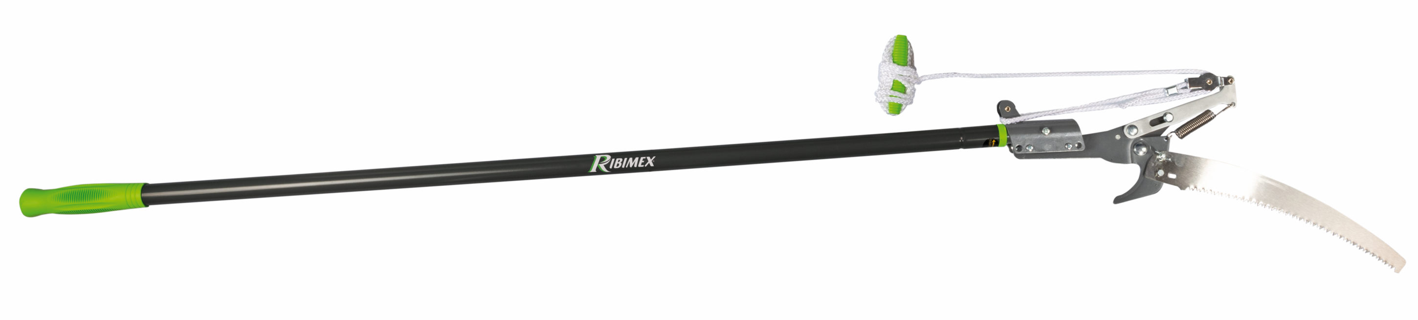 Echenilloir + scie + manche