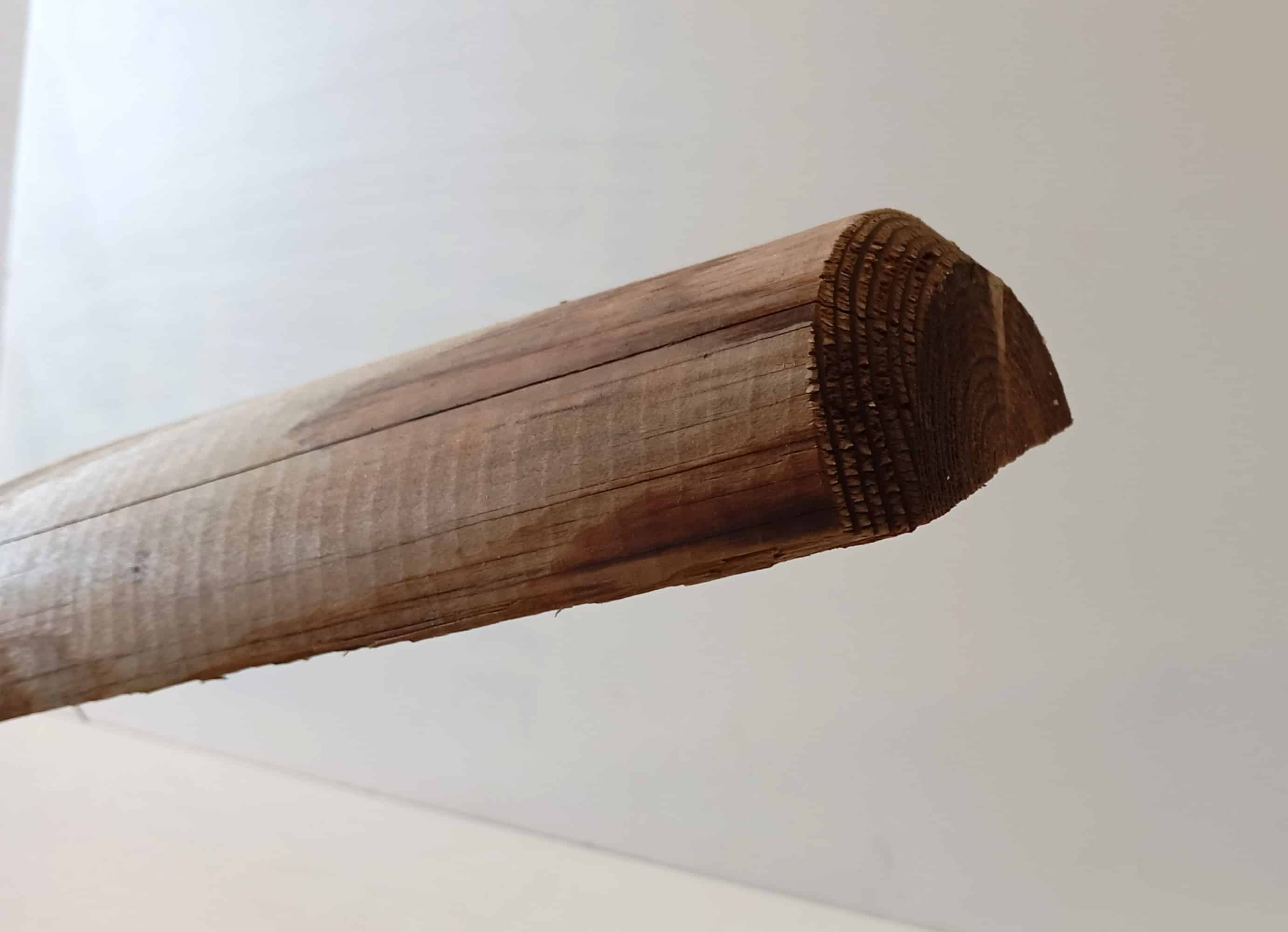 DEMI RONDIN DOUBLE CHANFREINS D100MM 2.50ML AUTOCLAVE CLAS.4 MARRON